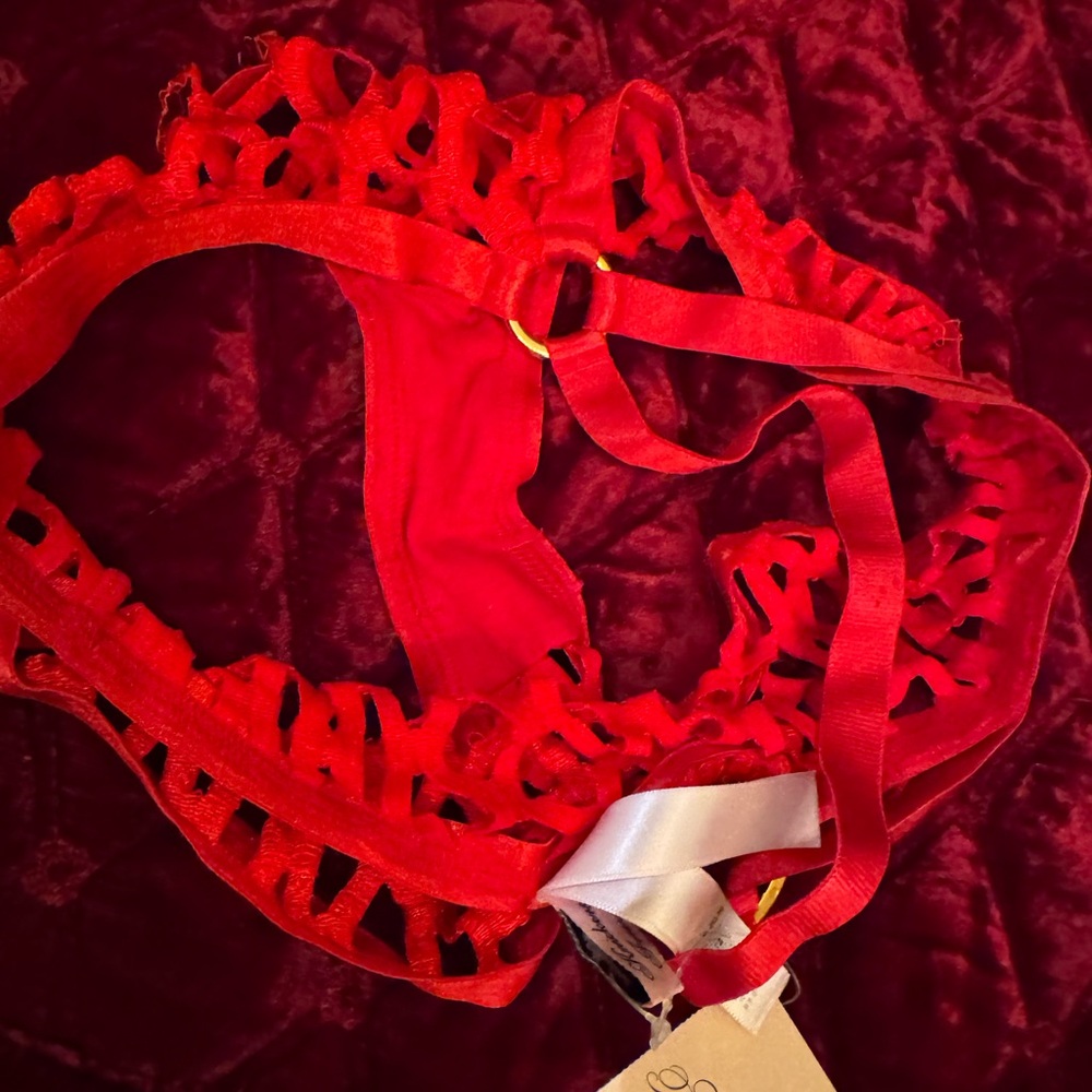 Agent Provocateur Red Bubble Panties size 2 NWT - Picture 6 of 8